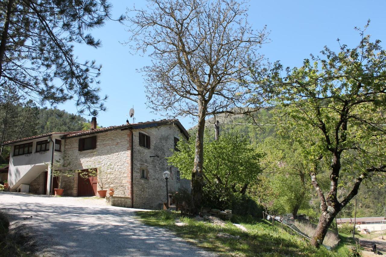 B&B Paradiso Gubbio Exterior foto